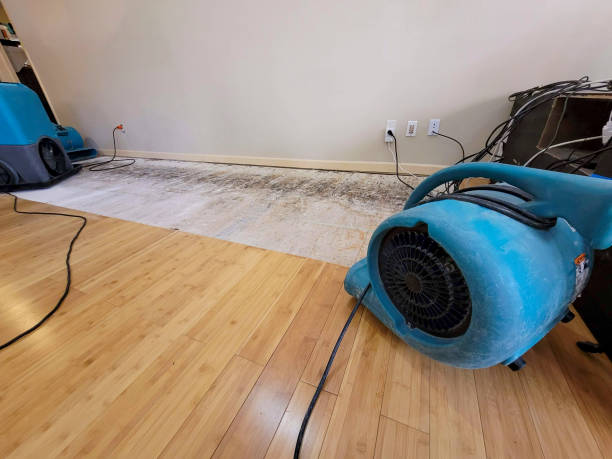 Professional Flood Damage Cleanup technician working in Gaston, SC